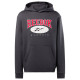 Reebok Ανδρικό φούτερ Classic Archive Essentials Hoodie